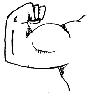 網站標簽優化之strong標簽的運用技巧