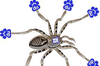 如何區分百度蜘蛛和匿名蜘蛛